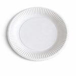 Pappteller rund 23cm 5x100