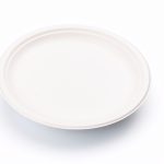 BIO-Teller 26cm 1-fach weiss Zuckerrohr 500 / Karton